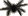 Spiders
